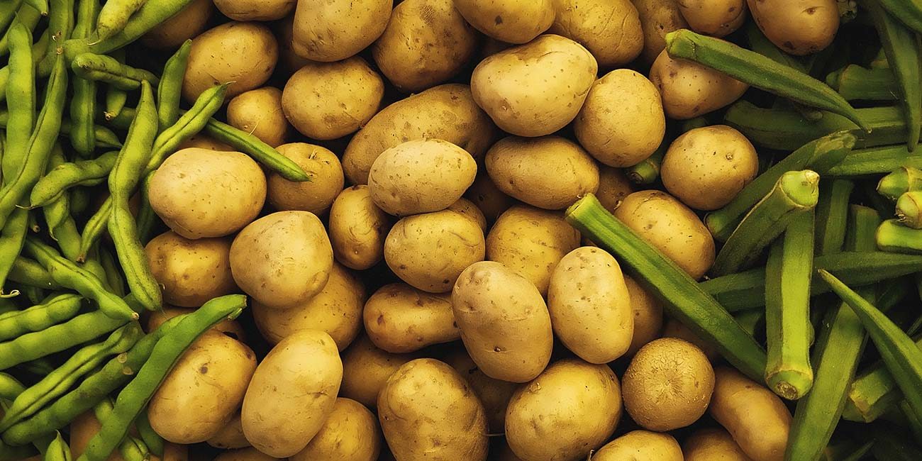 Какой вкус картошки. Зеленая картошка. Зелёная картошка на вкус. Картошка на зеленом фоне. Картофель с зелеными пятнами.